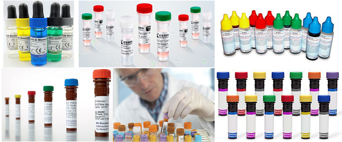 Automatic IVD Reagents Liquid Filling And Capping Machine